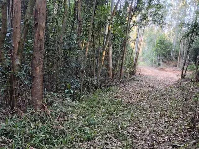 Terreno / Lote para Venda em Montenegro/RS Costa da Serra