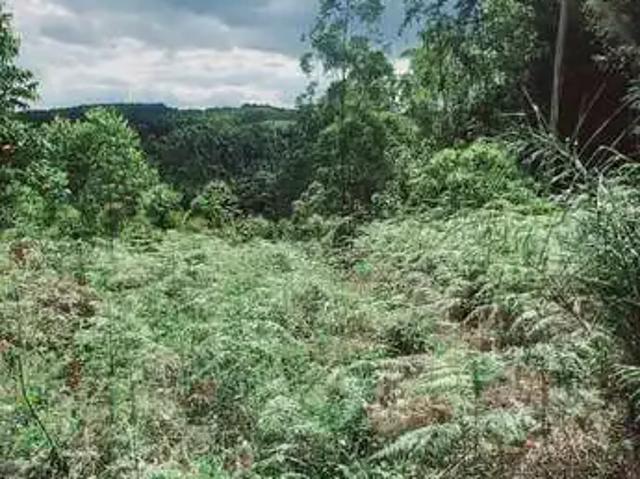 Terreno / Lote para Venda em Montenegro/RS Costa da Serra