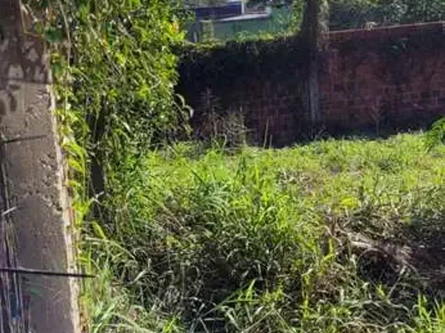 Terreno / Lote para Venda em Montenegro/RS Centro
