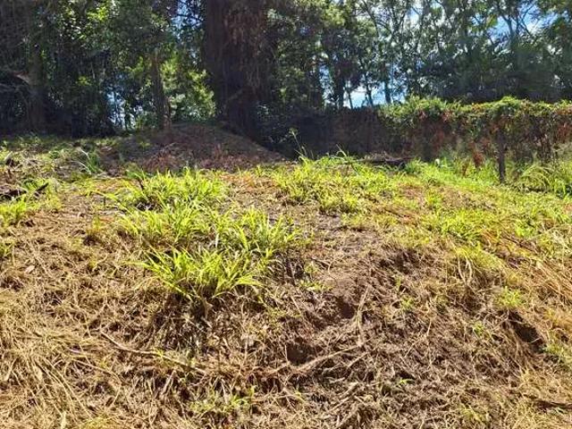 Terreno / Lote para Venda em Montenegro/RS Centro