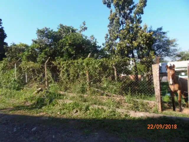 Terreno / Lote para Venda em Montenegro/RS Bela Vista