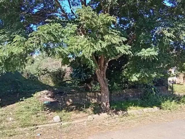 Terreno / Lote para Venda em Montenegro/RS Estação