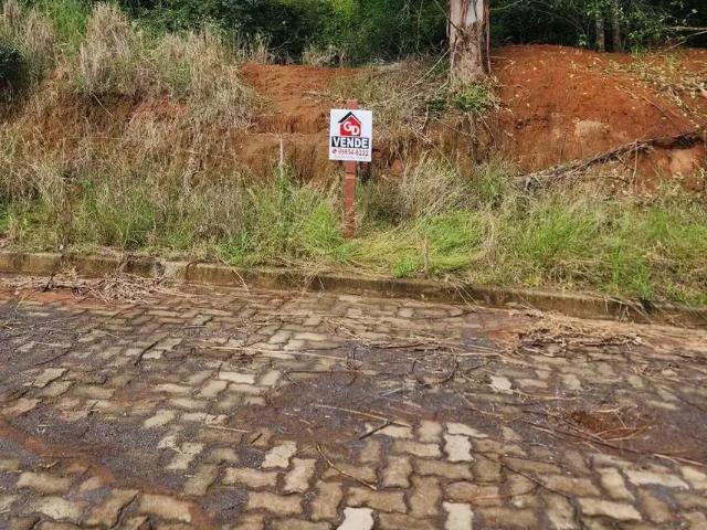 Terreno / Lote para Venda em Montenegro/RS Faxinal