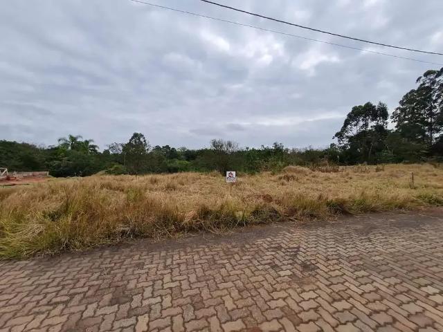 Terreno / Lote para Venda em Montenegro/RS Faxinal