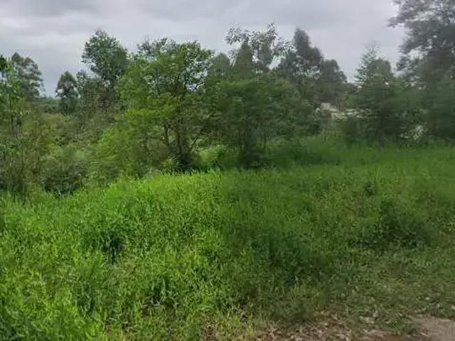 Terreno / Lote para Venda em Montenegro/RS Faxinal