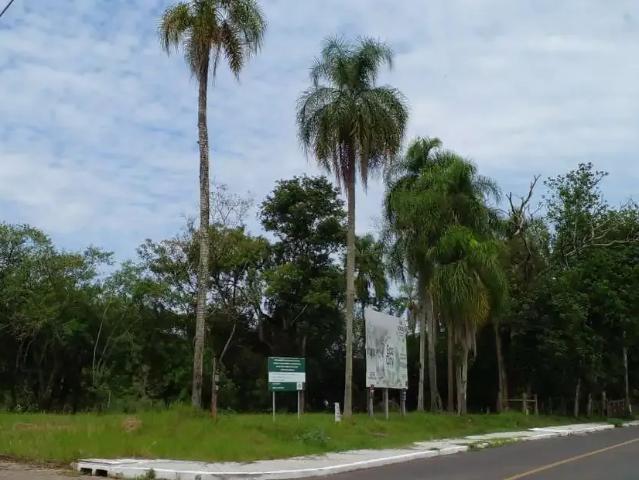 Terreno / Lote para Venda em Montenegro/RS Faxinal