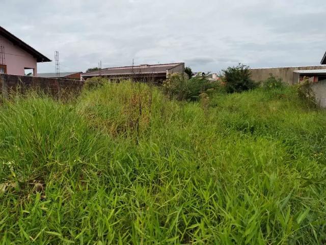 Terreno / Lote para Venda em Montenegro/RS Olaria