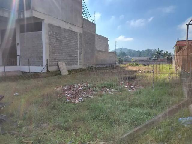 Terreno / Lote para Venda em Montenegro/RS São Paulo