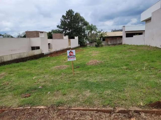 Terreno / Lote para Venda em Montenegro/RS São Paulo