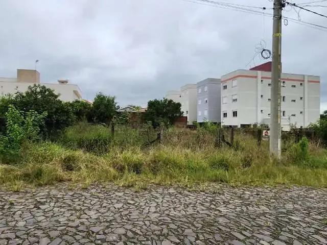Terreno / Lote para Venda em Montenegro/RS São Paulo