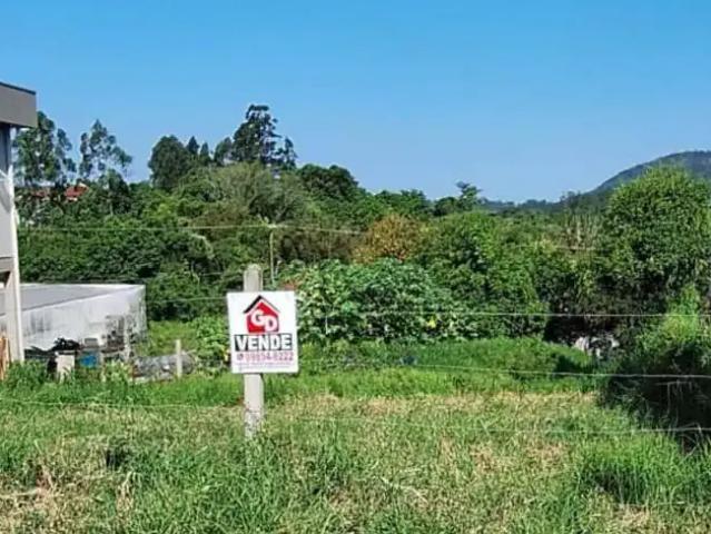 Terreno / Lote para Venda em Montenegro/RS São Paulo