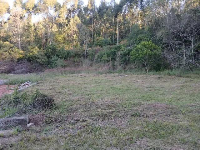 Terreno / Lote para Venda em Montenegro/RS Santo Antônio