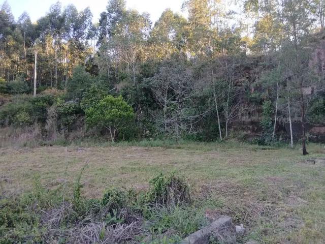 Terreno / Lote para Venda em Montenegro/RS Santo Antônio