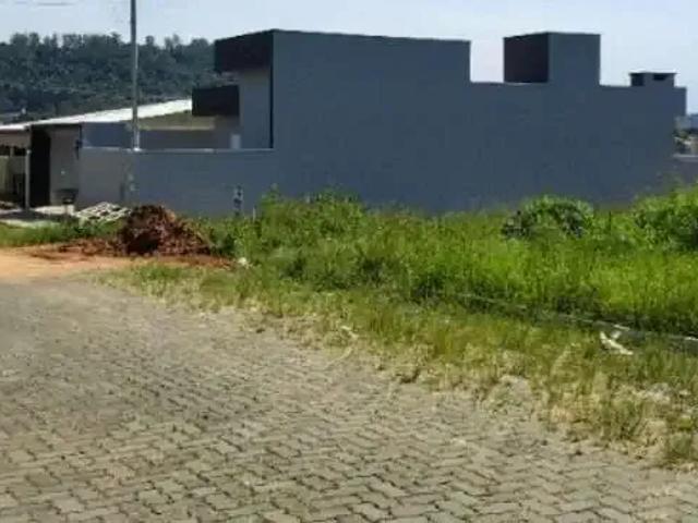 Terreno / Lote para Venda em Montenegro/RS Santa Rita