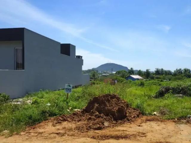 Terreno / Lote para Venda em Montenegro/RS Santa Rita