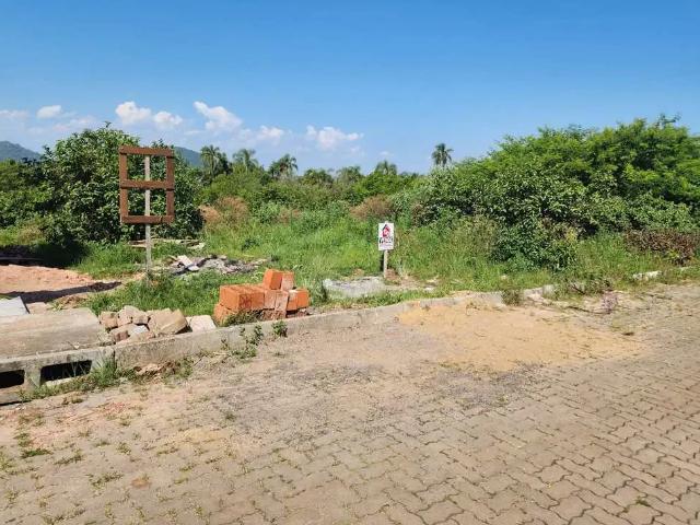 Terreno / Lote para Venda em Montenegro/RS Santa Rita