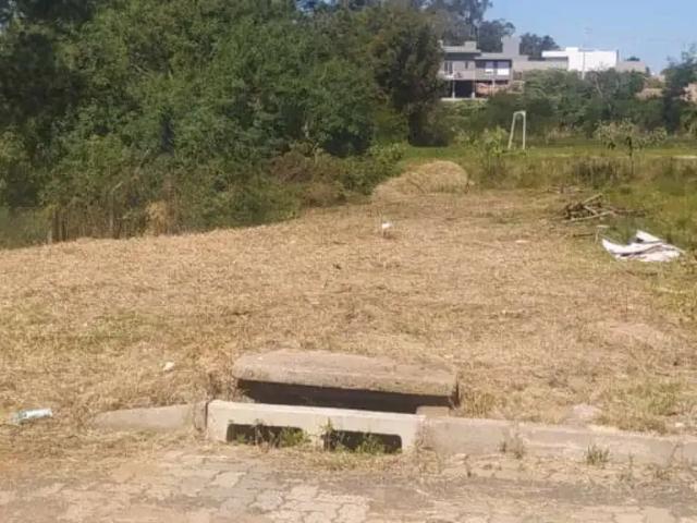 Terreno / Lote para Venda em Montenegro/RS Porto Dos Pereiras