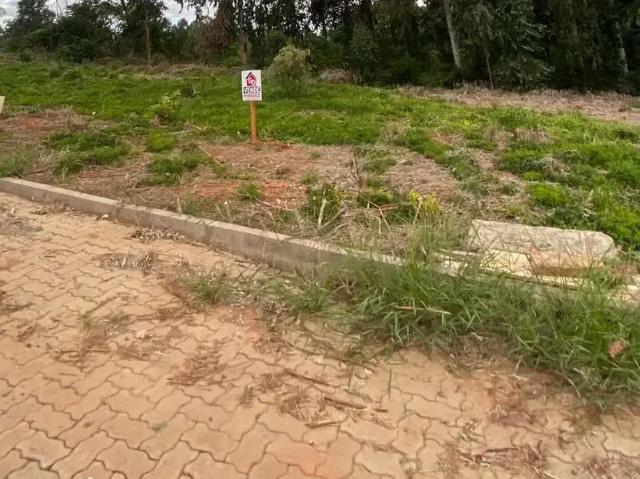 Terreno / Lote para Venda em Montenegro/RS Porto Dos Pereiras