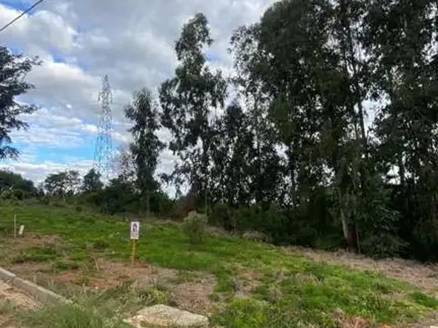 Terreno / Lote para Venda em Montenegro/RS Porto Dos Pereiras