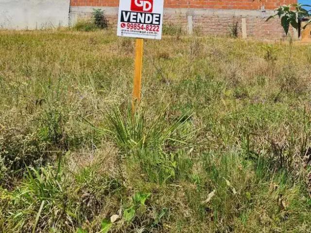 Terreno / Lote para Venda em Montenegro/RS Porto Dos Pereiras