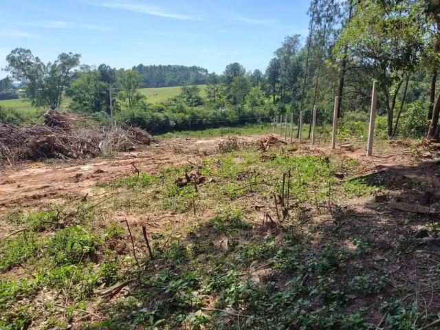 Terreno / Lote para Venda em Montenegro/RS Passo da Amora