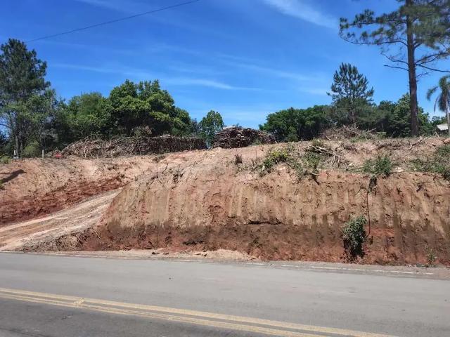 Terreno / Lote para Venda em Montenegro/RS Passo da Amora