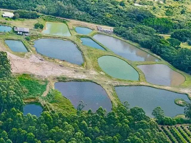 Terreno / Lote para Venda em Montenegro/RS Passo Da Serra 2 Quartos