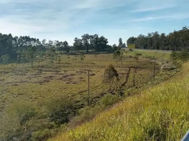 Terreno / Lote para Venda em Montenegro/RS Pesqueiro