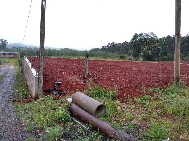 Terreno / Lote para Venda em Montenegro/RS Vendinha