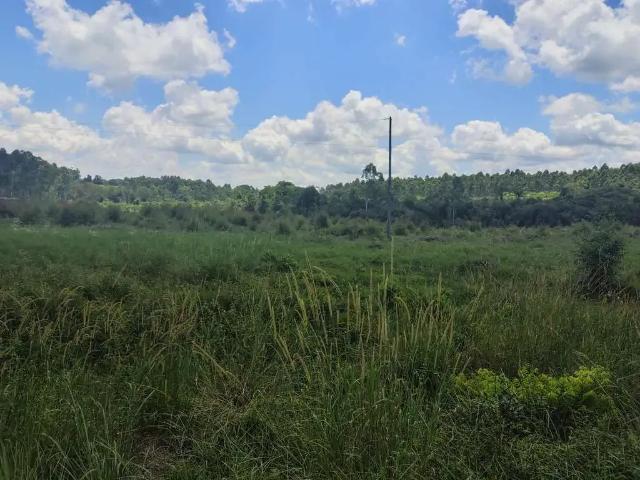 Terreno / Lote para Venda em Montenegro/RS Zona Rural