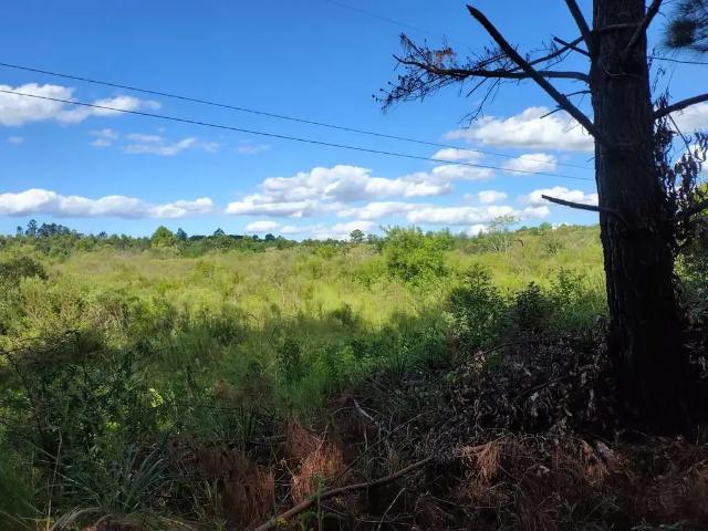 Terreno / Lote para Venda em Montenegro/RS Zona Rural