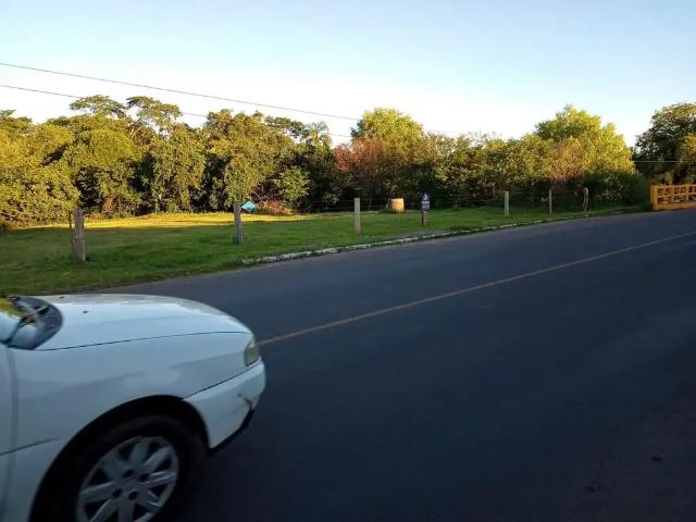 Terreno / Lote para Venda em Montenegro/RS Zootecnia