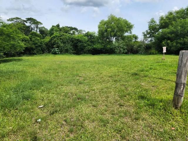 Terreno / Lote para Venda em Montenegro/RS Zootecnia