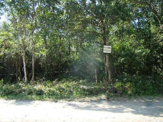 Terreno / Lote para Venda em Mongaguá/SP Centro