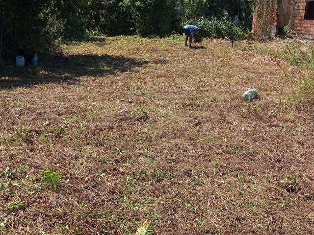 Terreno / Lote para Venda em Mongaguá/SP Florida Mirim