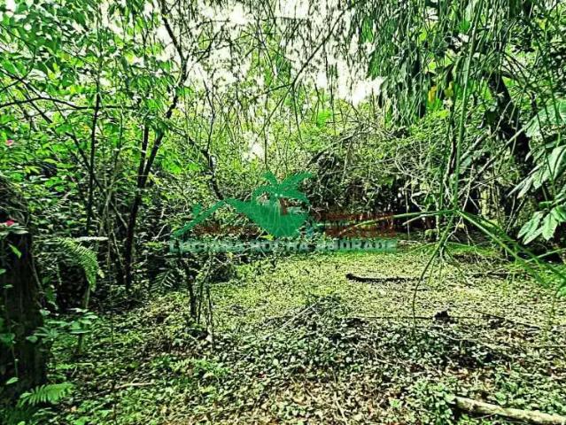 Terreno / Lote para Venda em Mongaguá/SP Itaguaí 1 Quartos