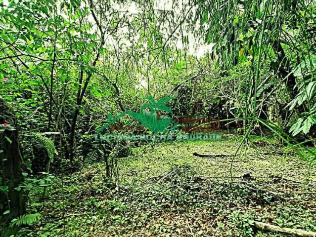 Terreno / Lote para Venda em Mongaguá/SP Itaguaí 1 Quartos