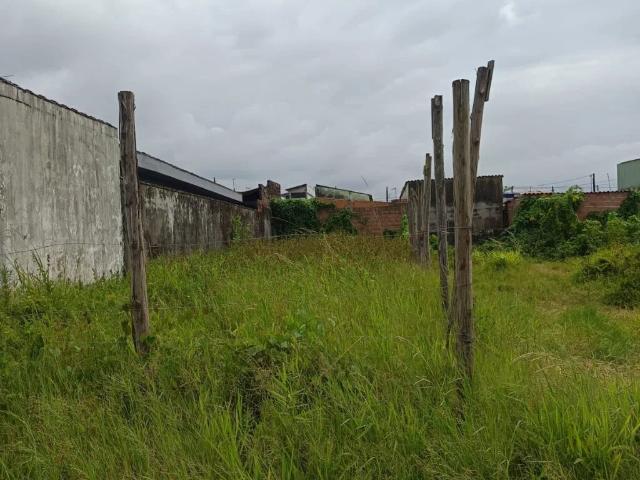 Terreno / Lote para Venda em Mongaguá/SP Jardim Colúmbia