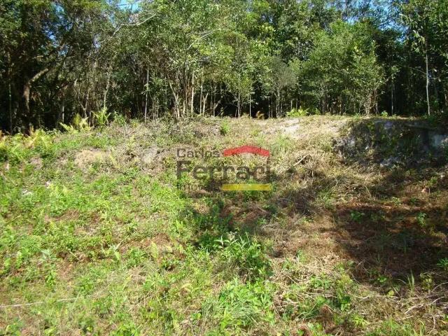 Terreno / Lote para Venda em Mongaguá/SP Agenor de Campos