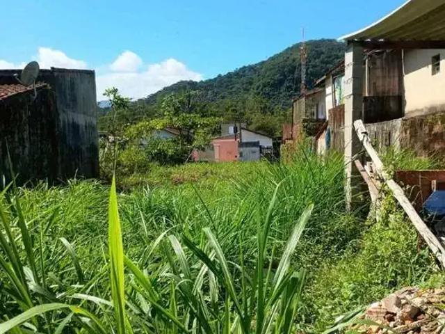 Terreno / Lote para Venda em Mongaguá/SP Vera Cruz