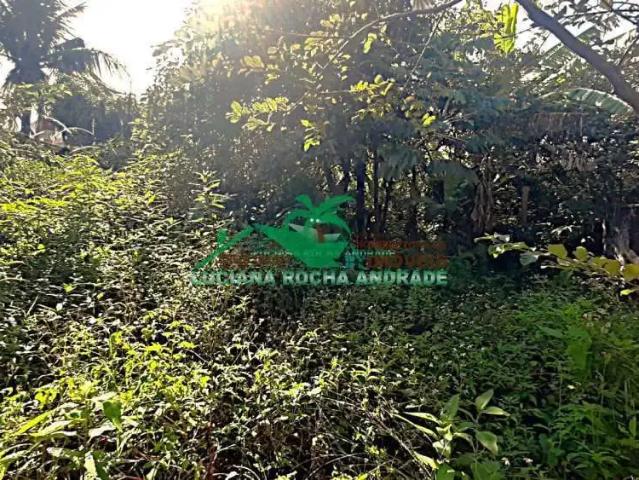 Terreno / Lote para Venda em Mongaguá/SP Vila Atlântica