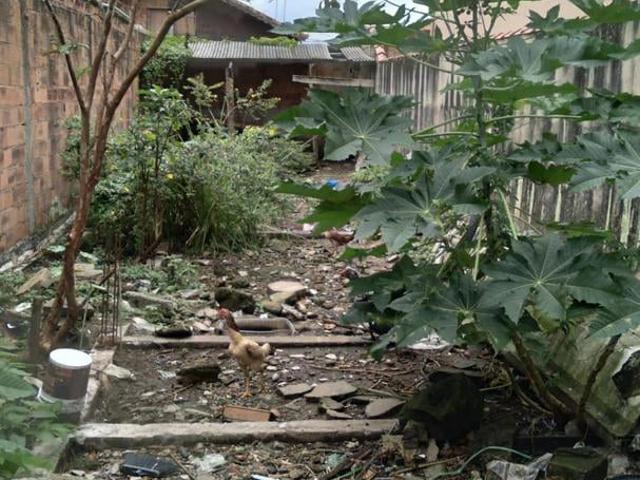 Terreno / Lote para Venda em Mongaguá/SP Vila Oceanópolis