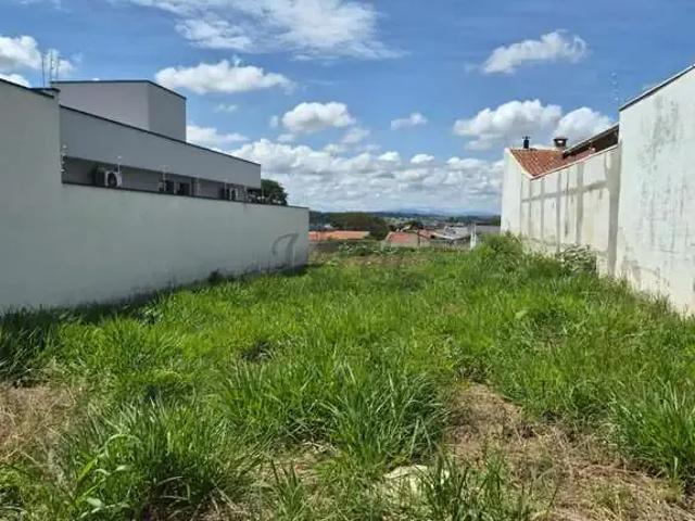 Terreno / Lote para Venda em Mogi Mirim/SP Jardim Scomparim