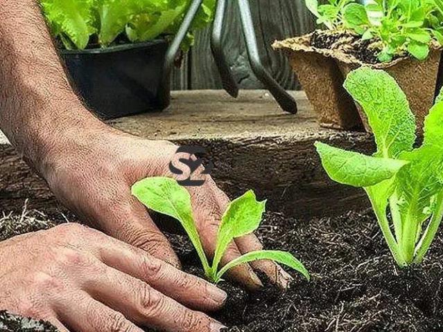 Terreno / Lote para Venda em Mogi Mirim/SP Nova Mogi