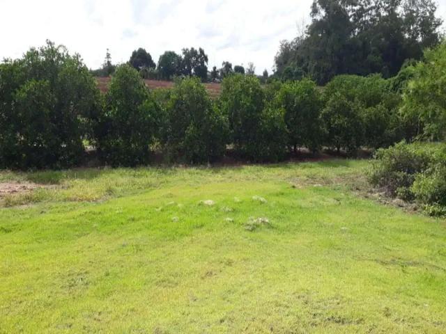 Terreno / Lote para Venda em Mogi Mirim/SP Sobradinho