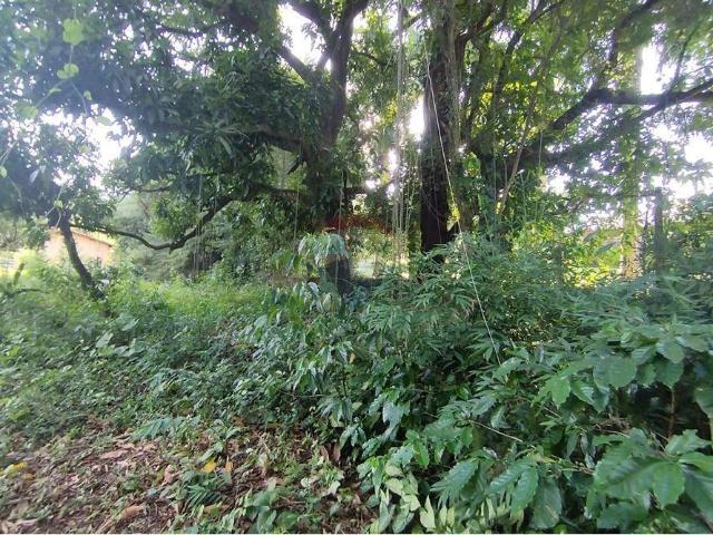 Terreno / Lote para Venda em Mogi Mirim/SP Paraíso da Cachoeira