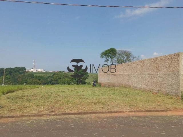 Terreno / Lote para Venda em Mogi Mirim/SP Parque Residencial Murayama