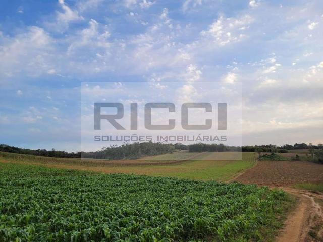 Terreno / Lote para Venda em Mogi das Cruzes/SP Vila Moraes