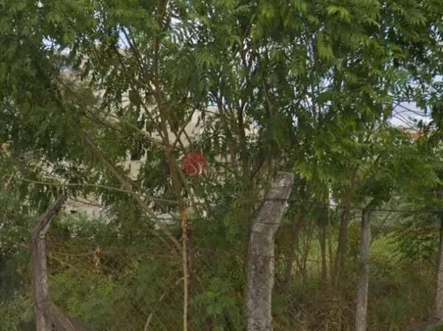 Terreno / Lote para Venda em Mogi das Cruzes/SP Vila Nova Aparecida