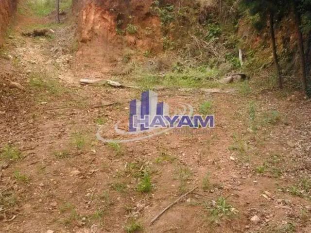 Terreno / Lote para Venda em Mogi das Cruzes/SP Vila Oliveira